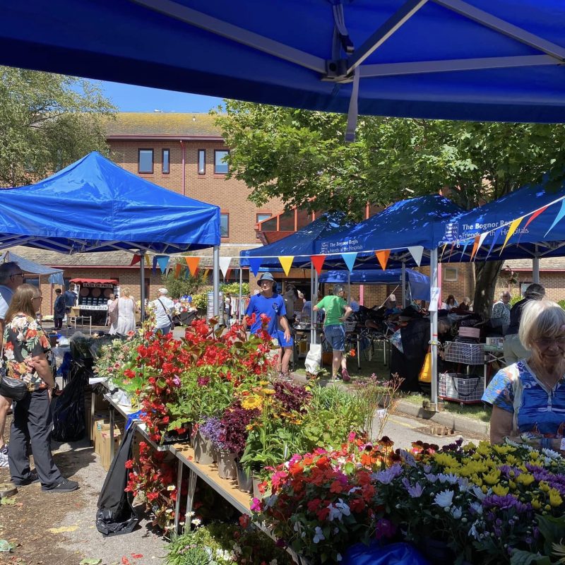 Fete stalls showing plants and country produce
